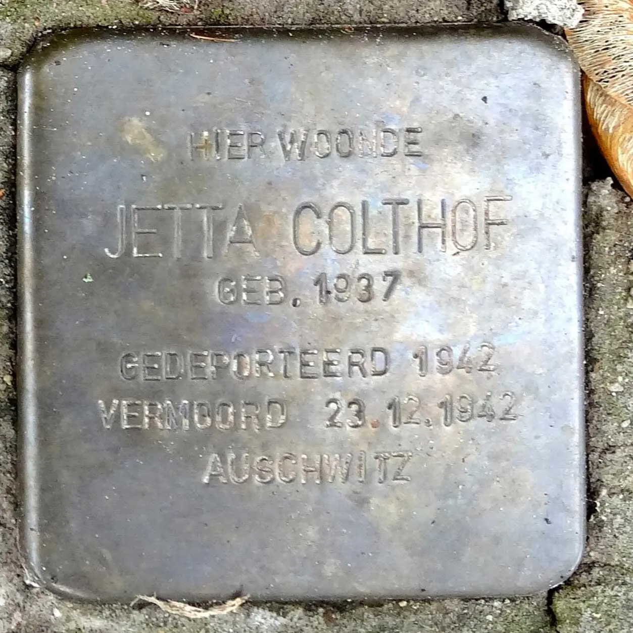 Struikelsteen voor Jetta Colthof
