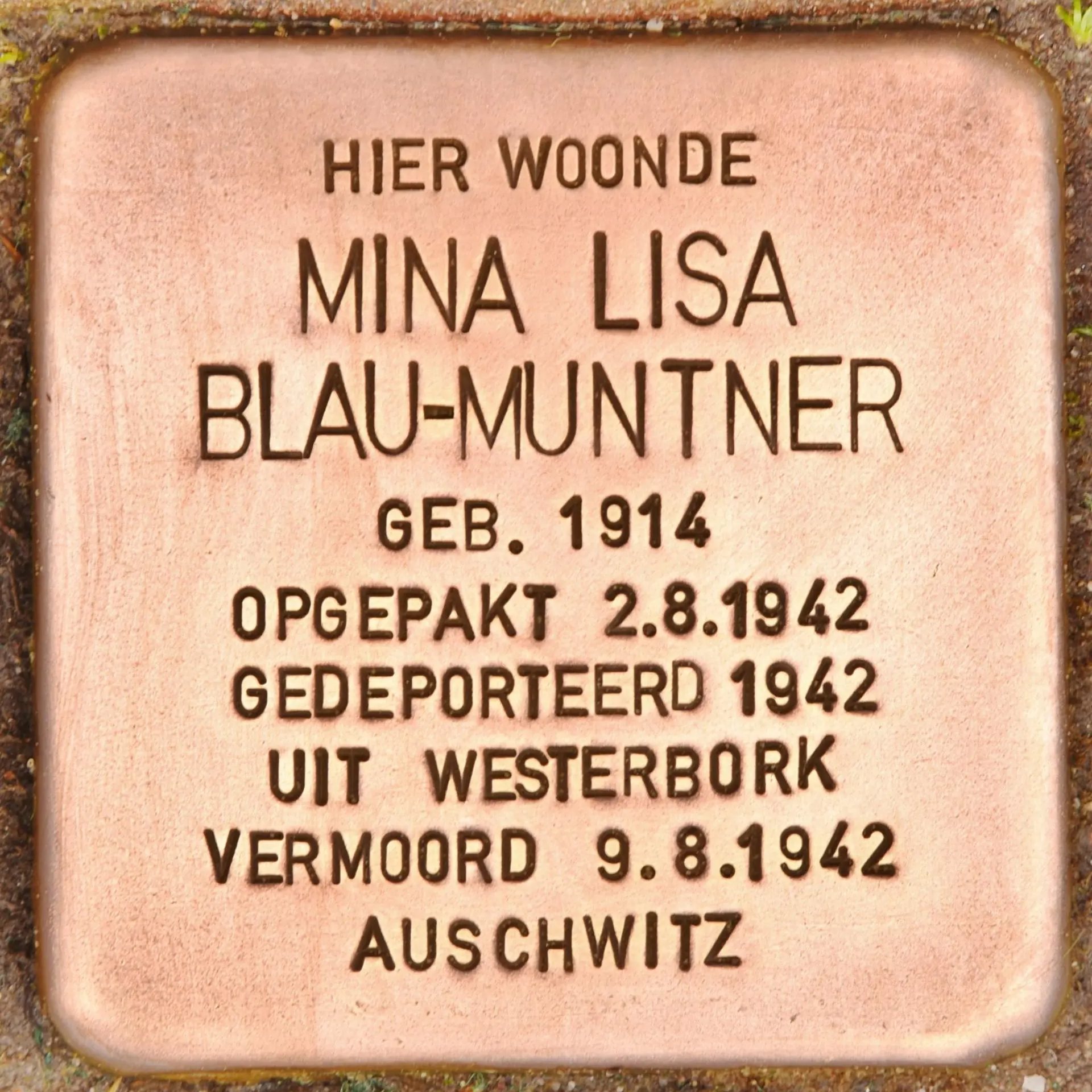 Struikelsteen voor Mina Lisa Blau-Muntner