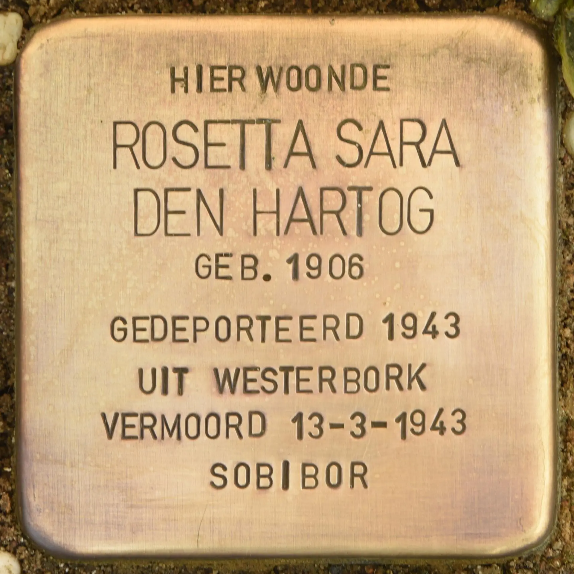 Struikelsteen voor Rosetta Sara den Hartog