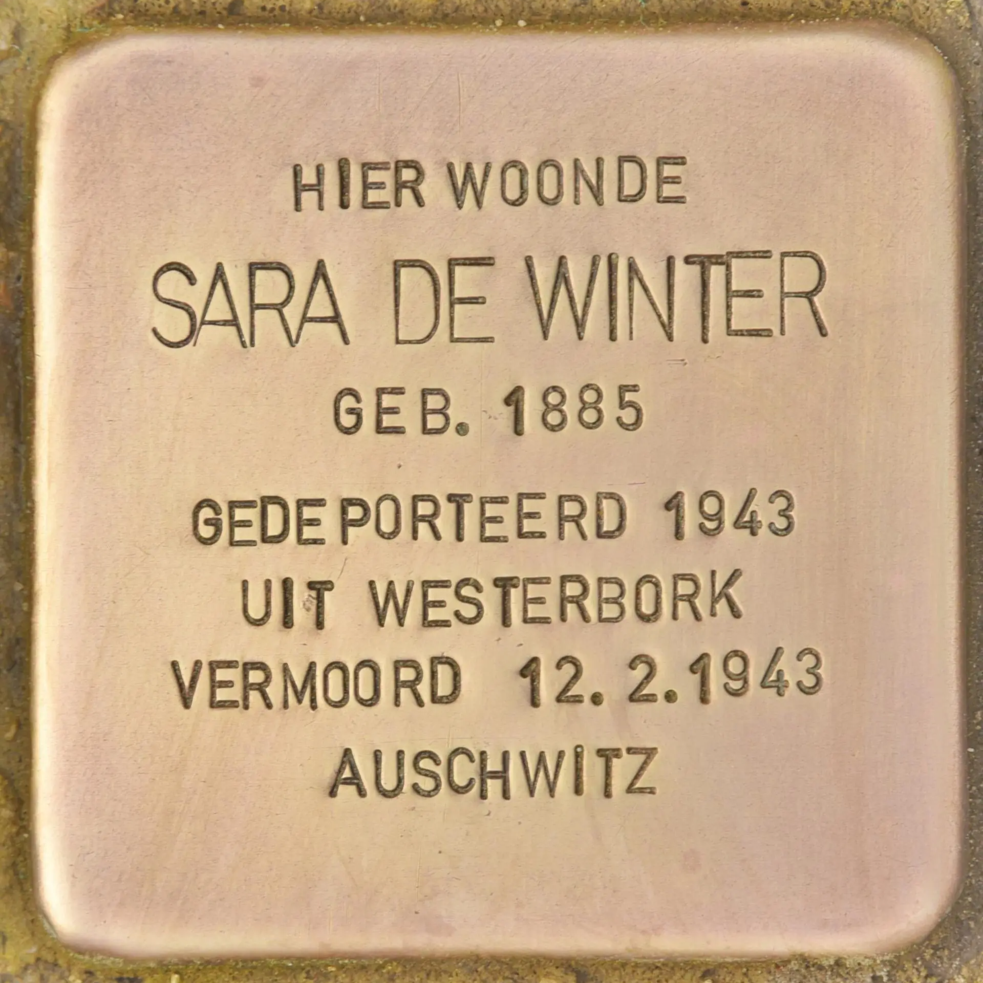Struikelsteen voor Sara de Winter