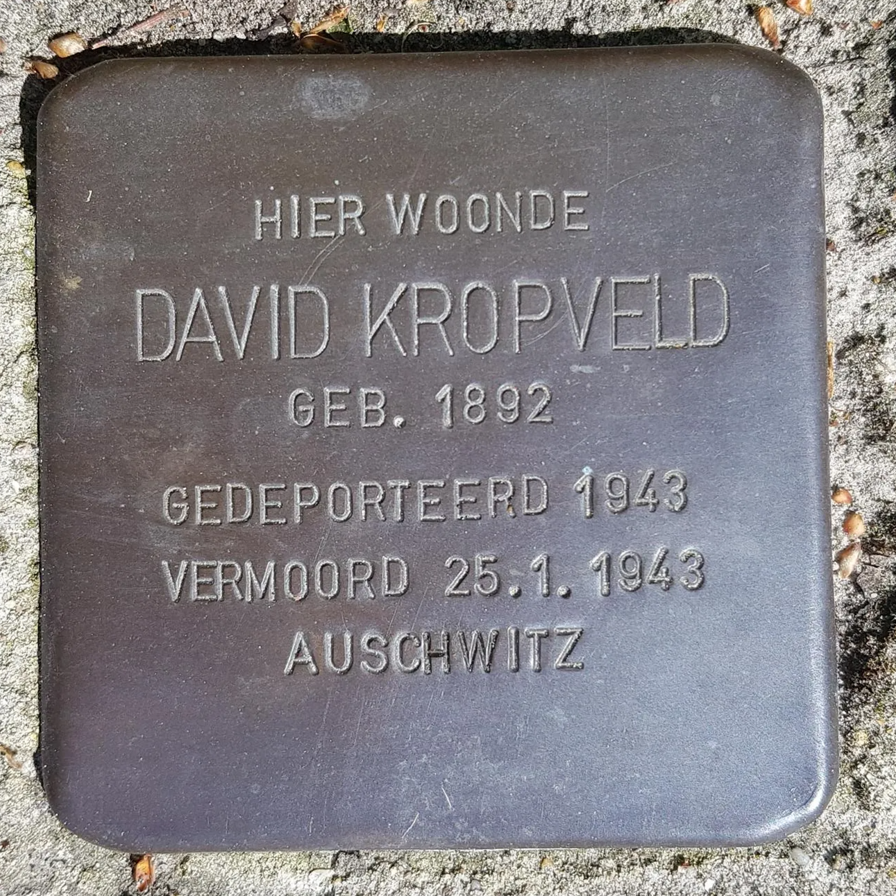 Struikelsteen voor David Kropveld