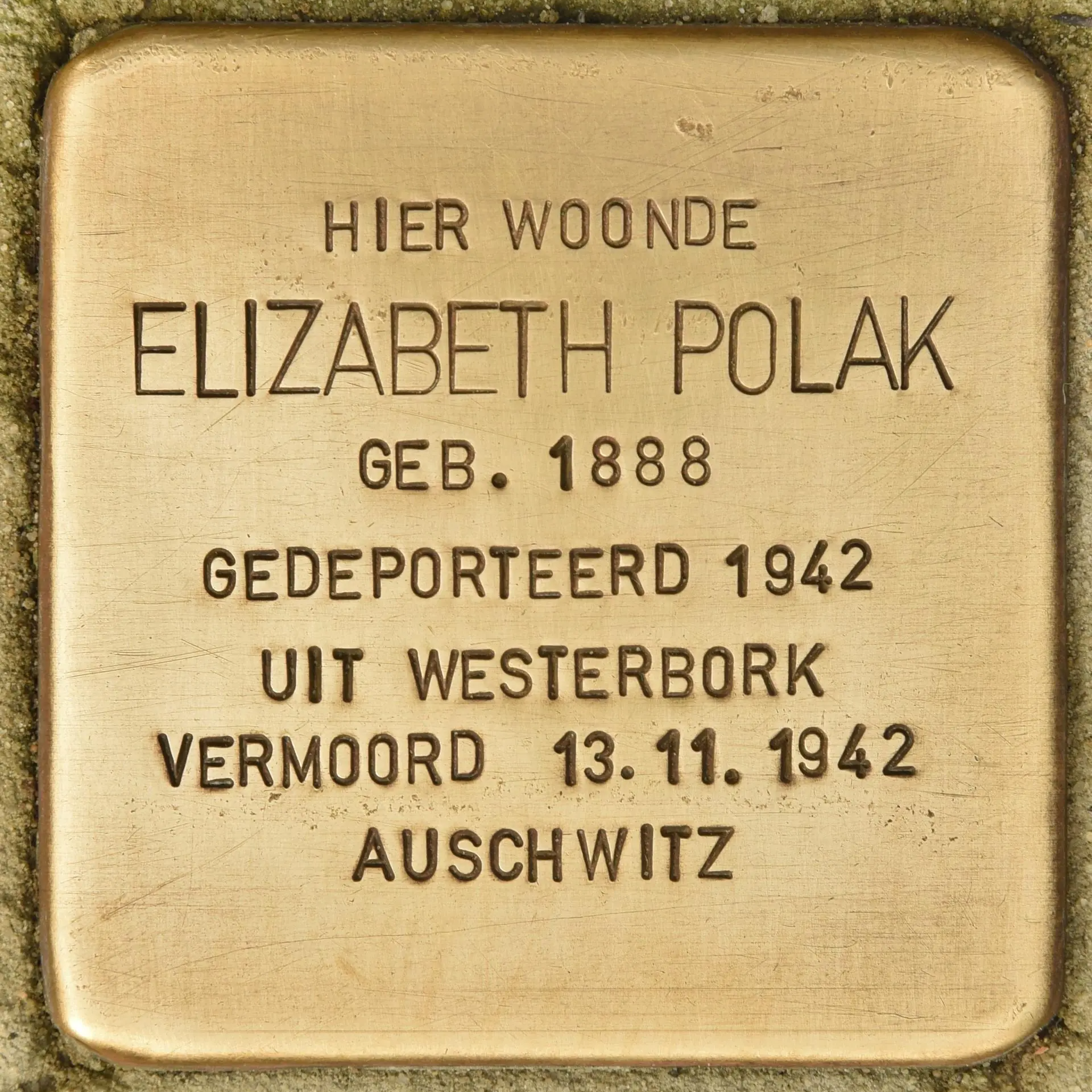 Struikelsteen voor Elizabeth Polak