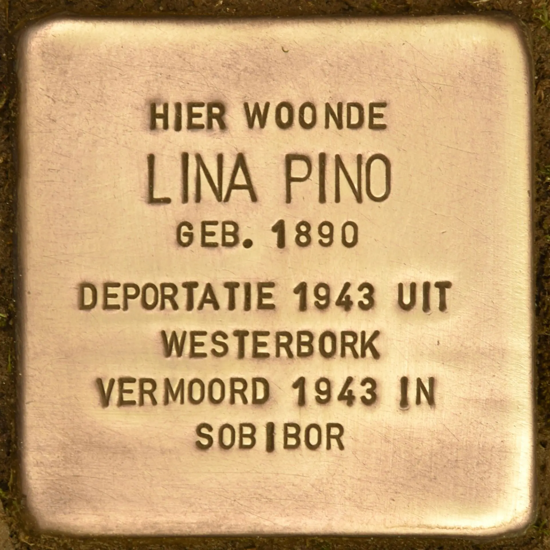 Struikelsteen voor Lina Pino