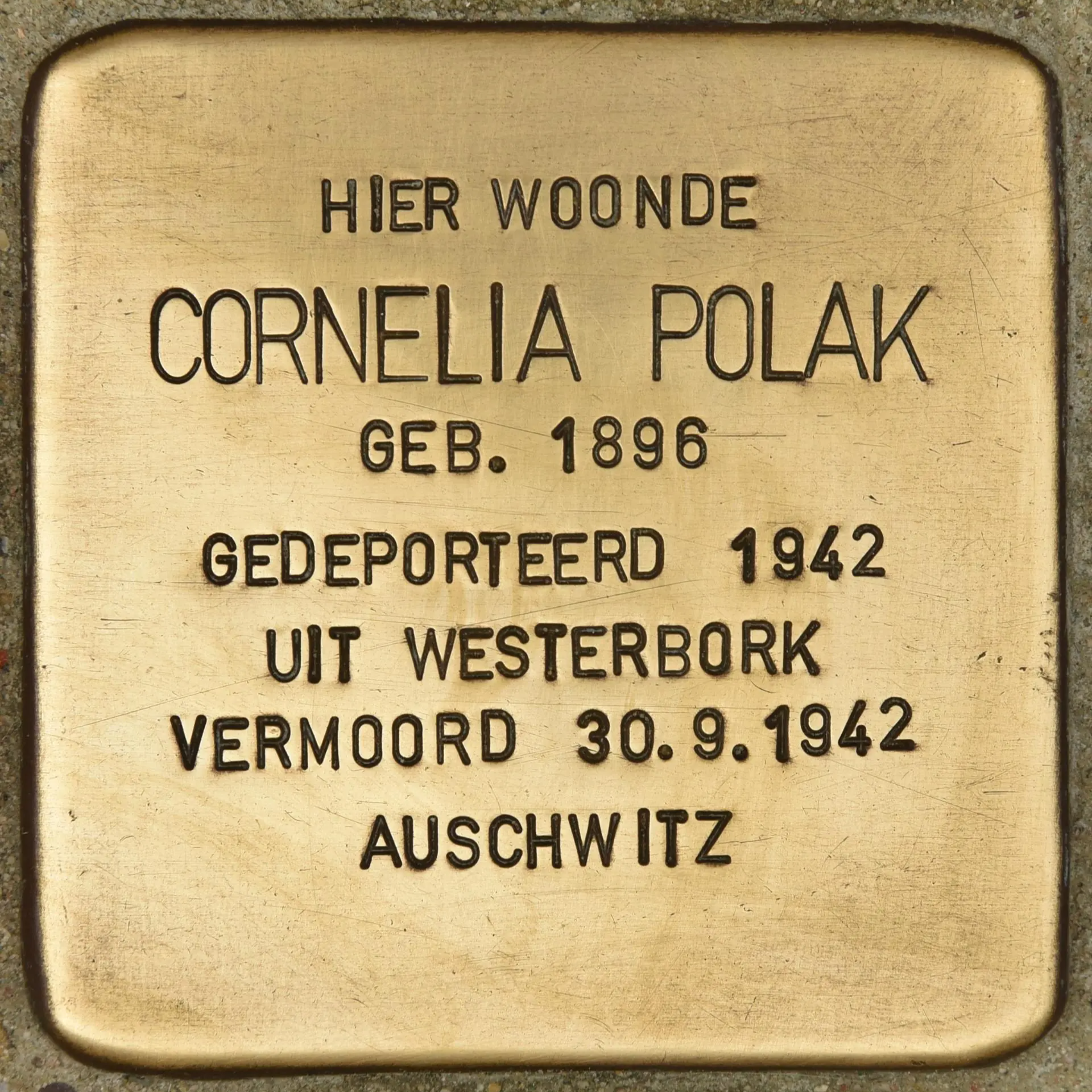 Struikelsteen voor Cornelia Polak