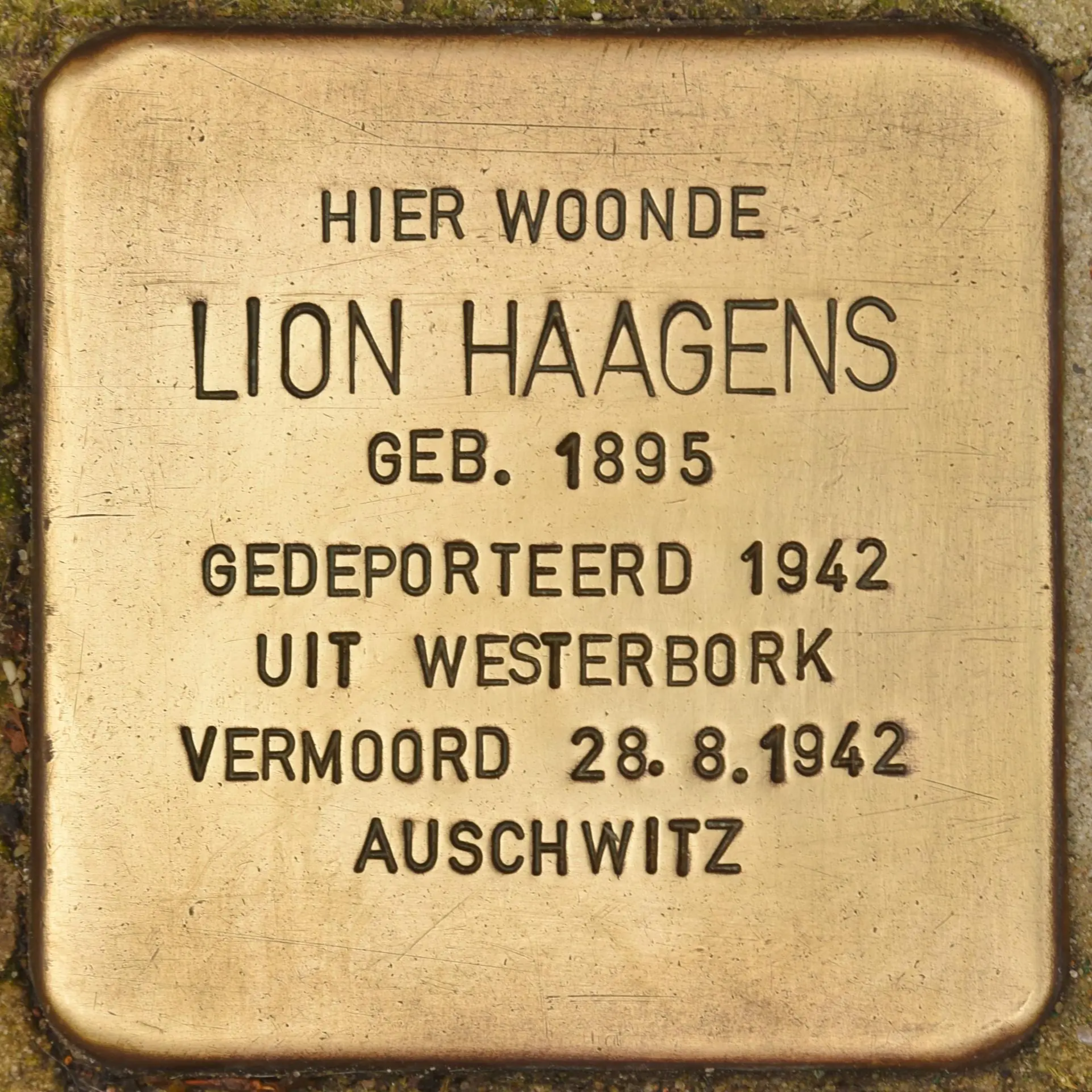 Struikelsteen voor Lion Haagens