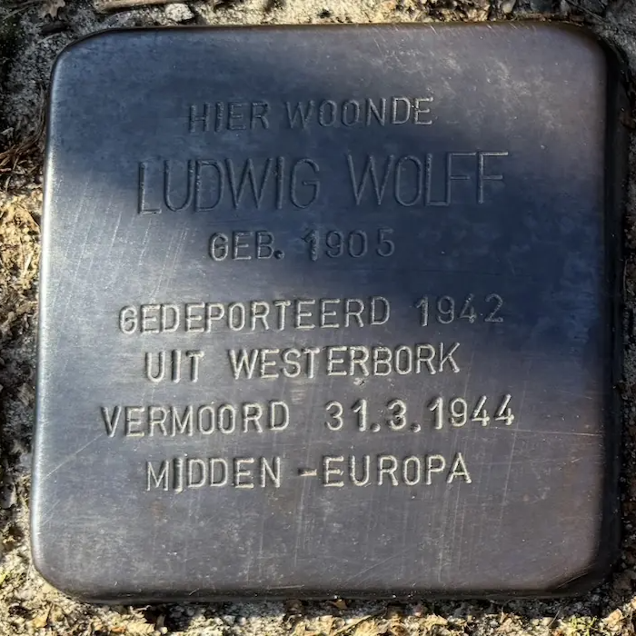 Struikelsteen voor Ludwig Wolff