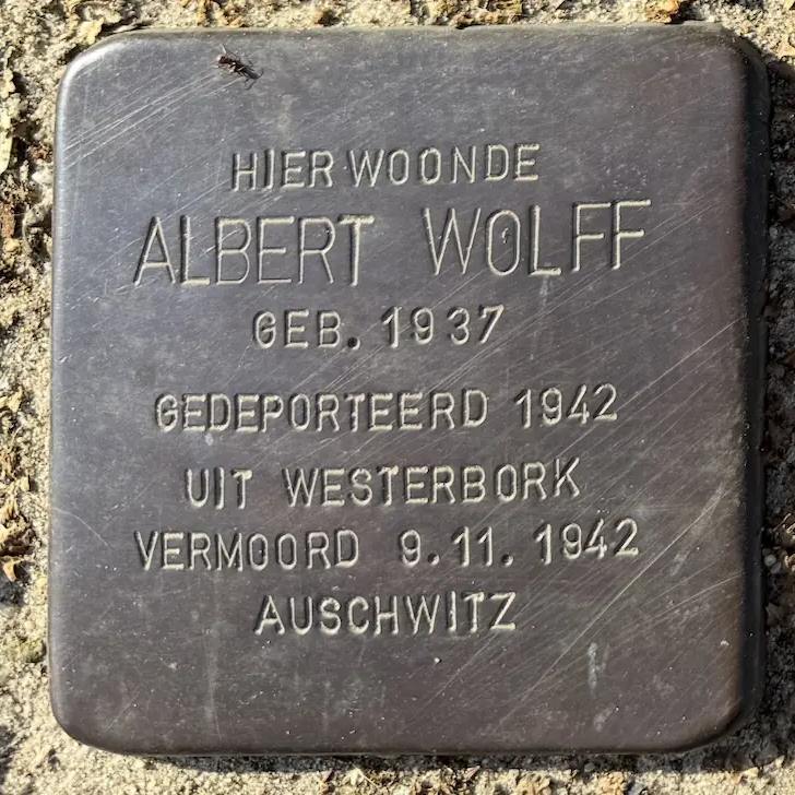 Struikelsteen voor Albert Wolff