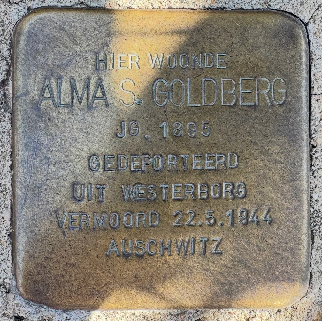 Struikelsteen voor Alma Goldberg