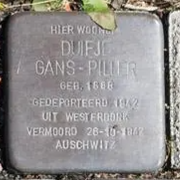 Struikelsteen voor Duifje Gans-Piller
