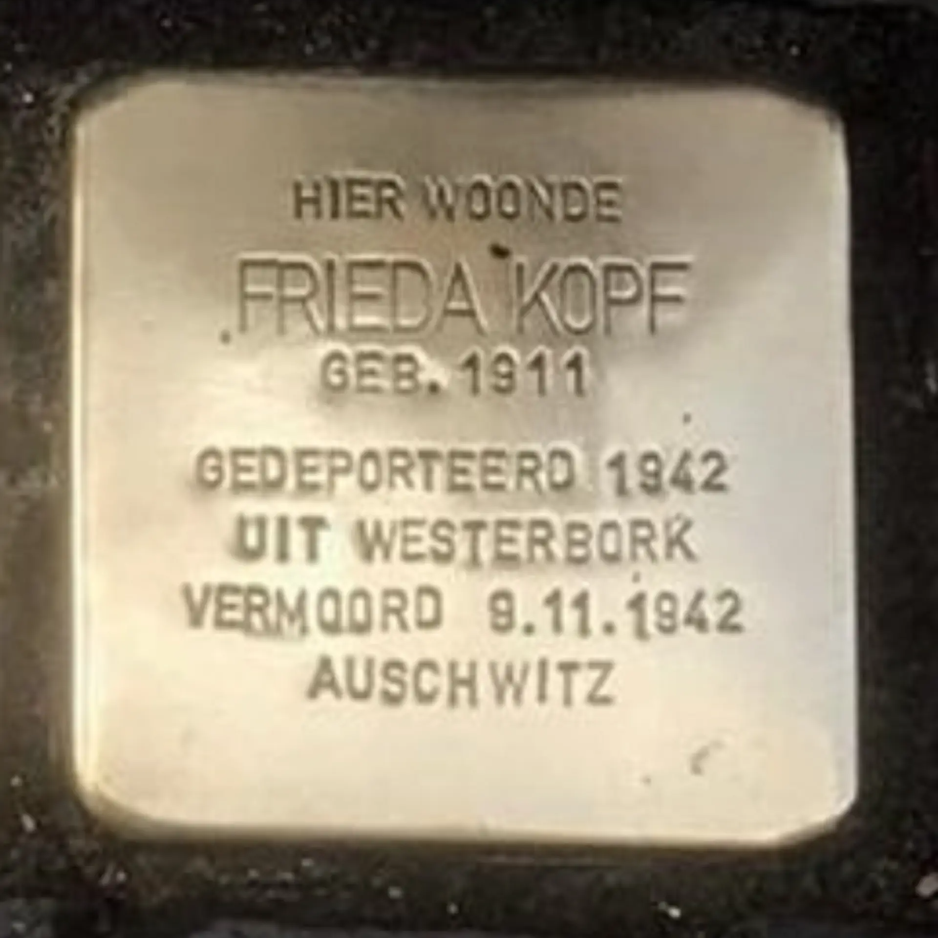 Struikelsteen voor Frieda Kopf