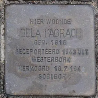 Struikelsteen voor Bela Pagrach