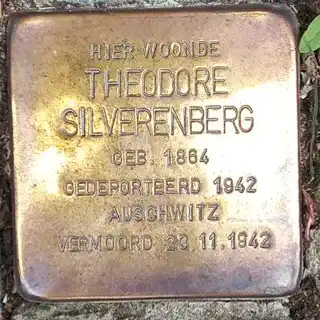 Struikelsteen voor Theodore Silverenberg