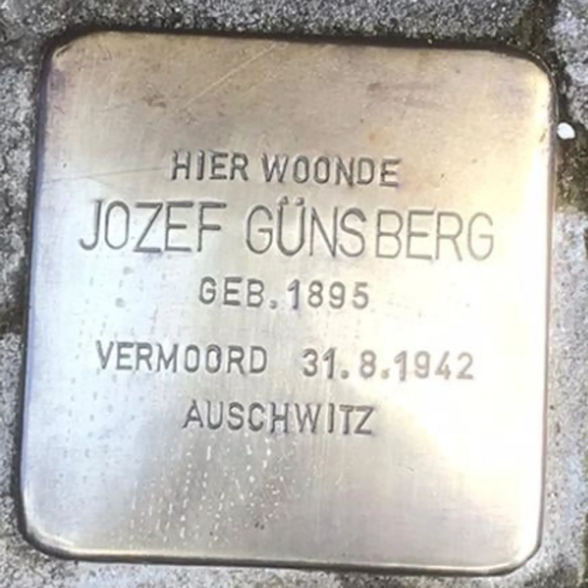 Struikelsteen voor Jozef Günsberg