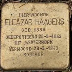 Struikelsteen voor Eleazar Haagens