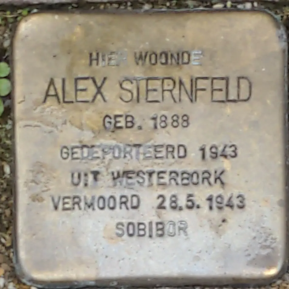 Struikelsteen voor Alex Sternfeld