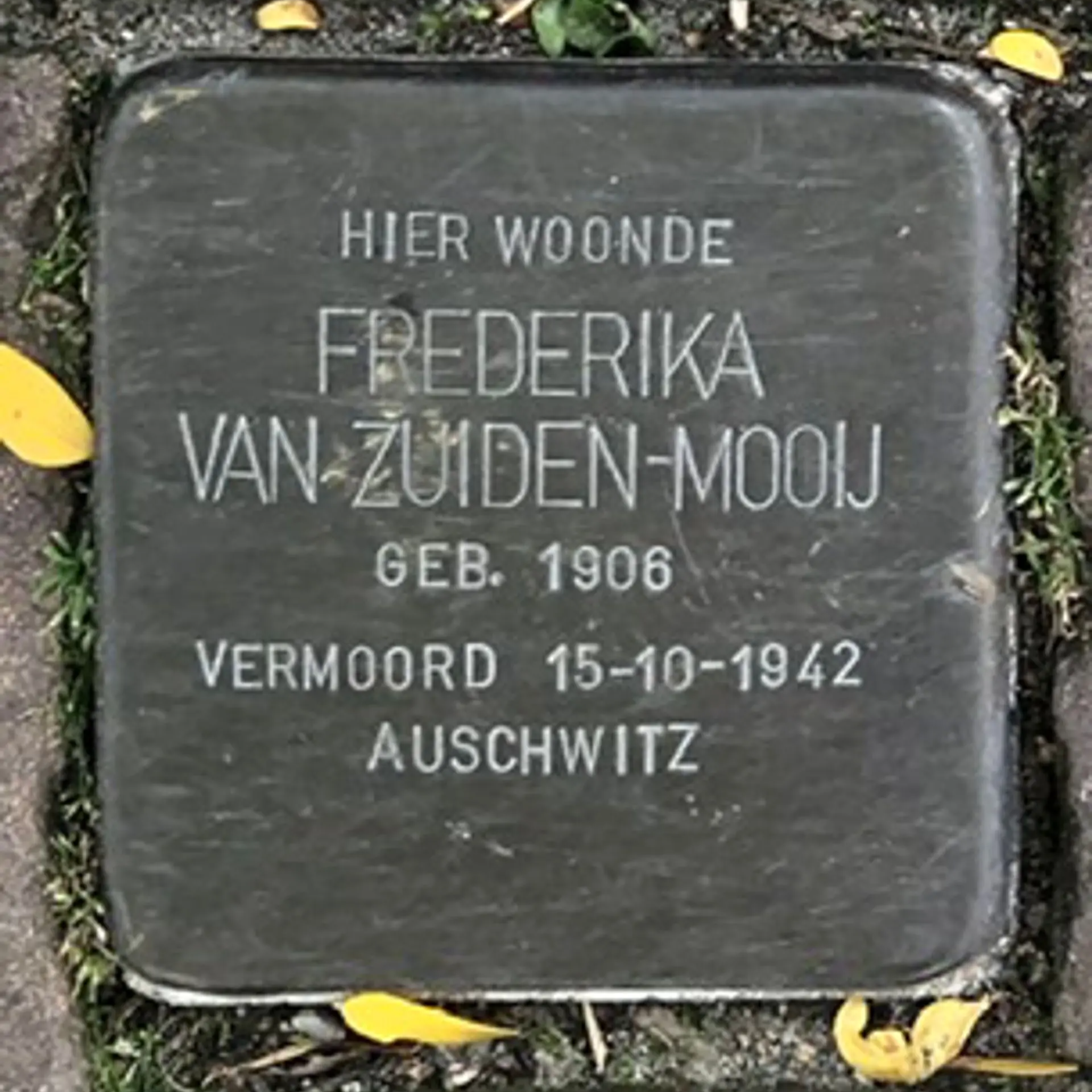 Struikelsteen voor Frederika van Zuiden-Mooij