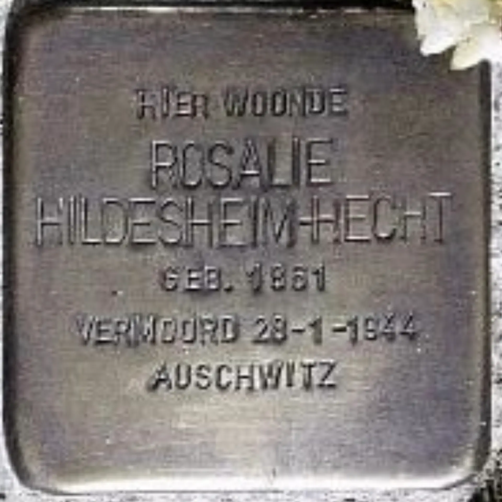 Struikelsteen voor Rosalie Hildesheim-Hecht