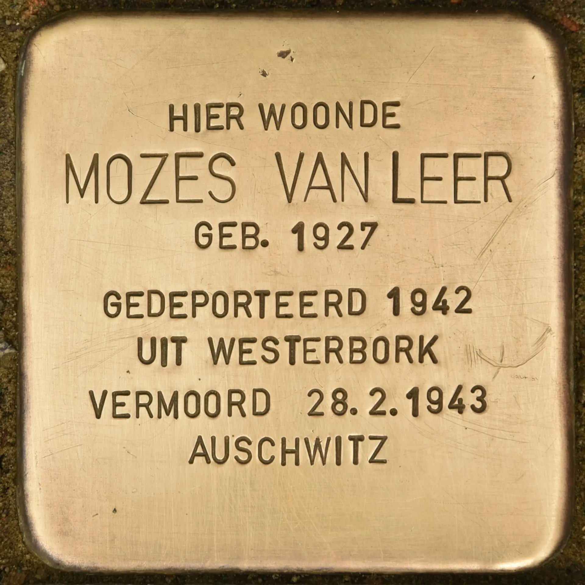 Struikelsteen voor Mozes van Leer