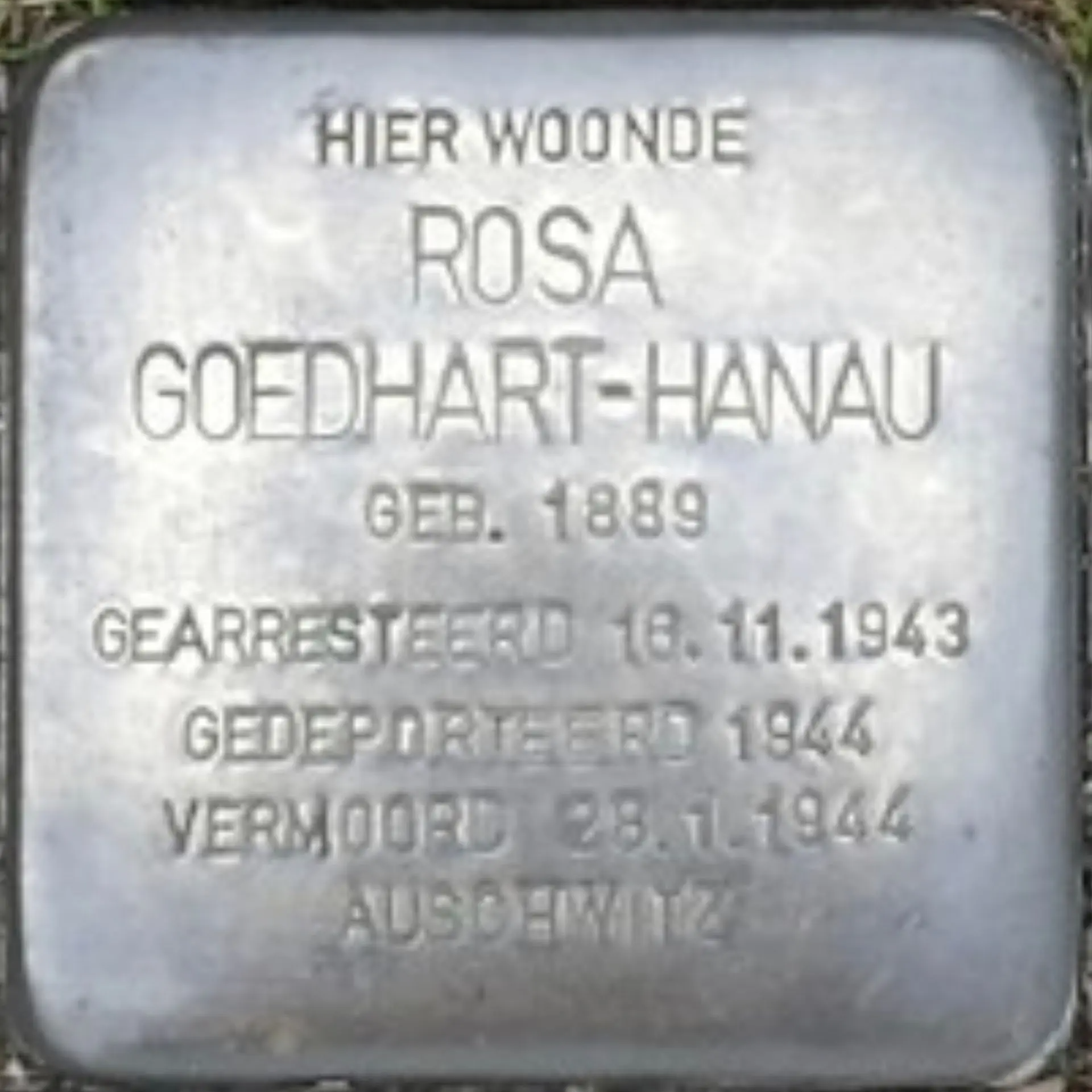 Struikelsteen voor Rosa Goedhart-Hanau