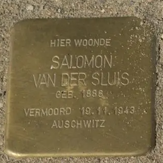Struikelsteen voor Salomon van der Sluis