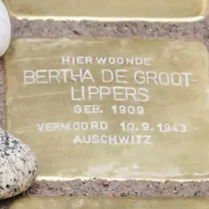 Struikelsteen voor Bertha de Groot-Lippers
