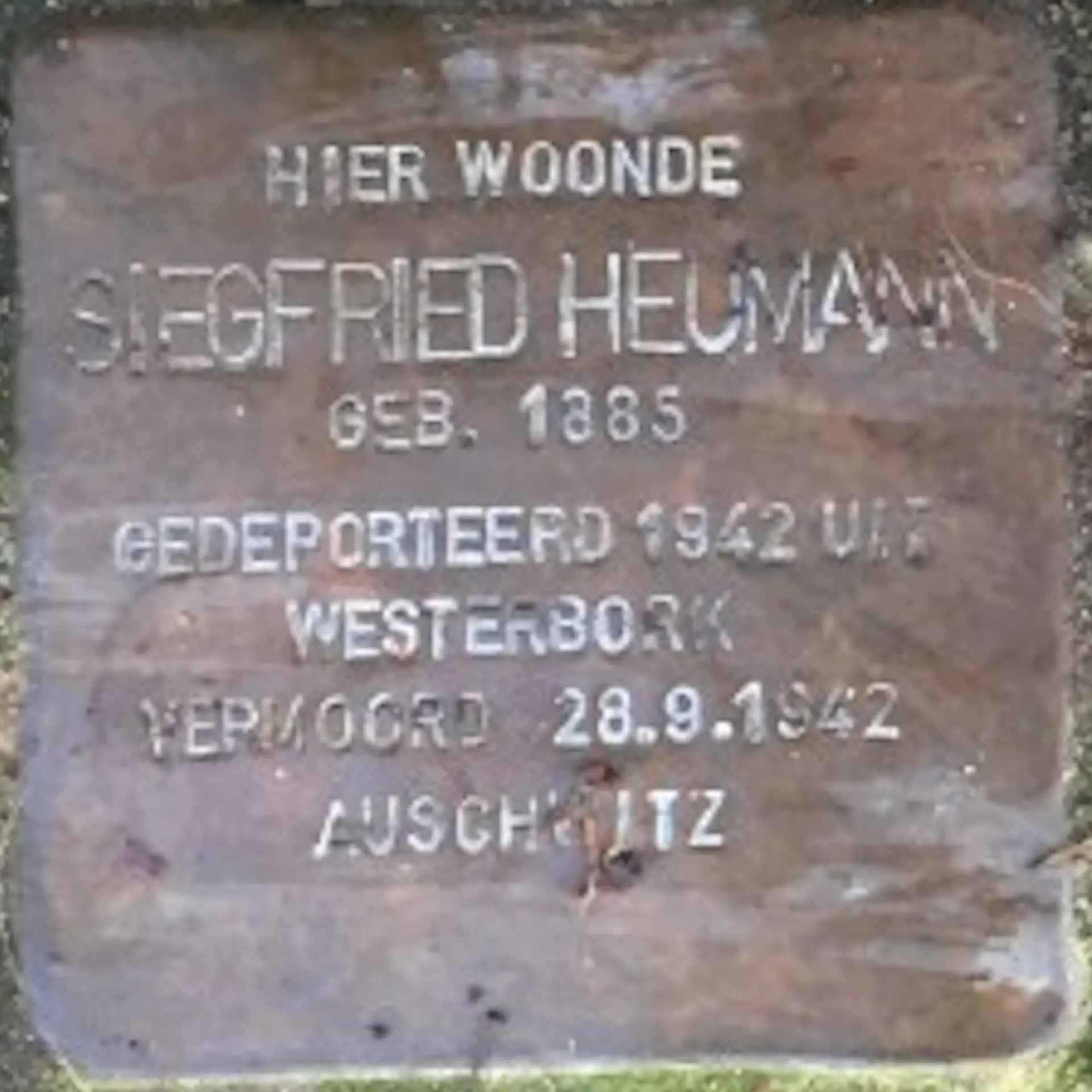 Struikelsteen voor Siegfried Heumann