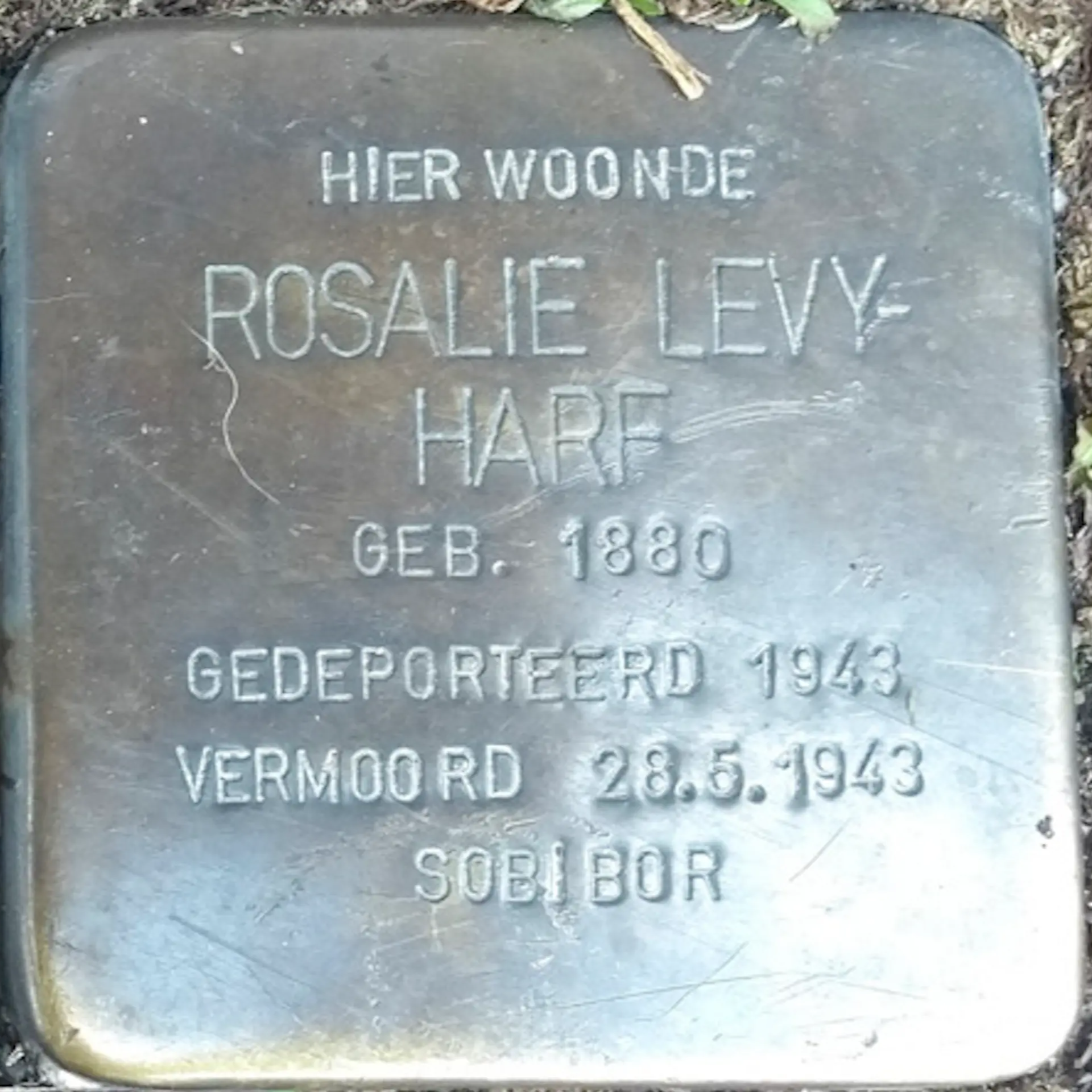 Struikelsteen voor Rosalie Levy-Harf