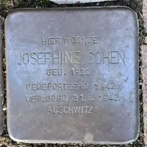 Struikelsteen voor Josephine Cohen