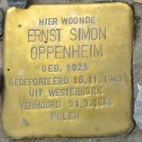 Struikelsteen voor Ernst Simon Oppenheim