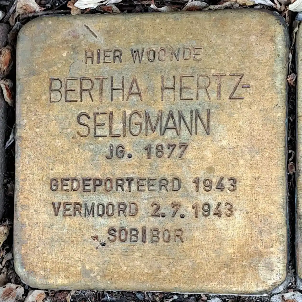 Struikelsteen voor Bertha Hertz-Seligmann