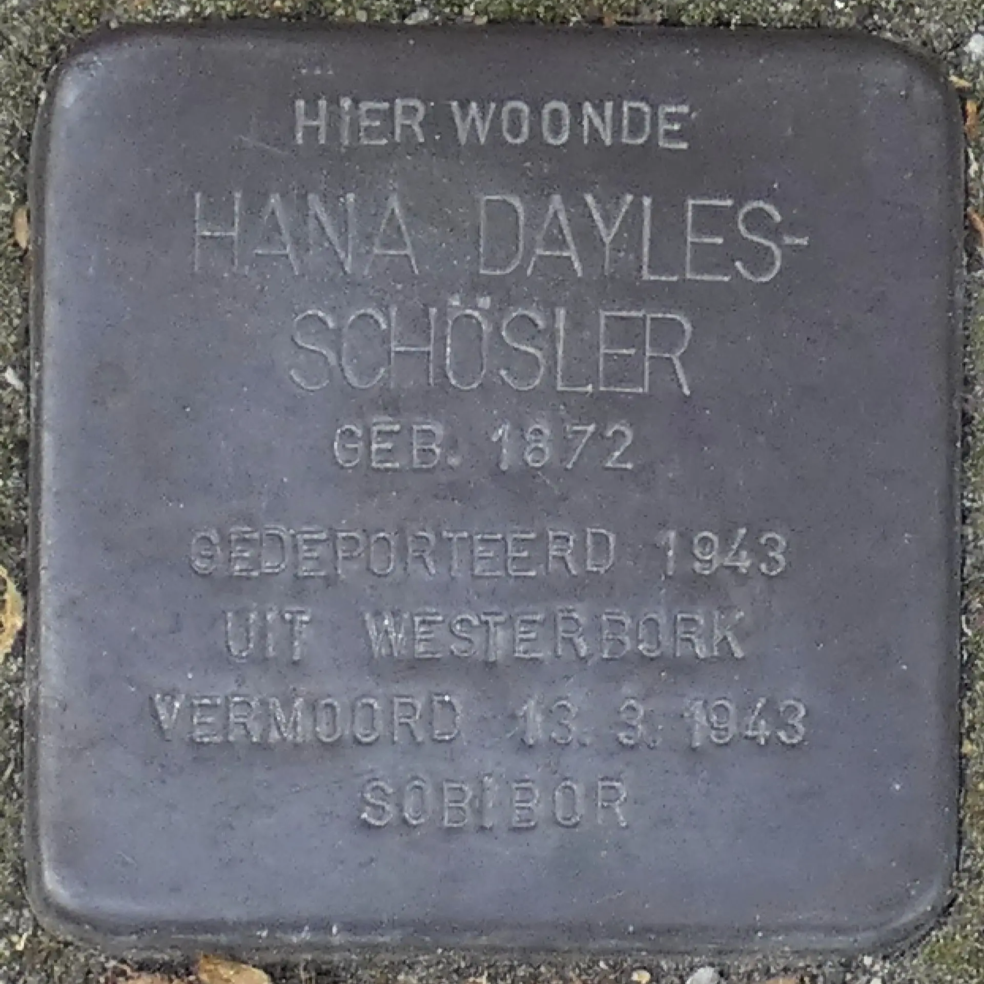 Struikelsteen voor Hana Dayles-Schösler