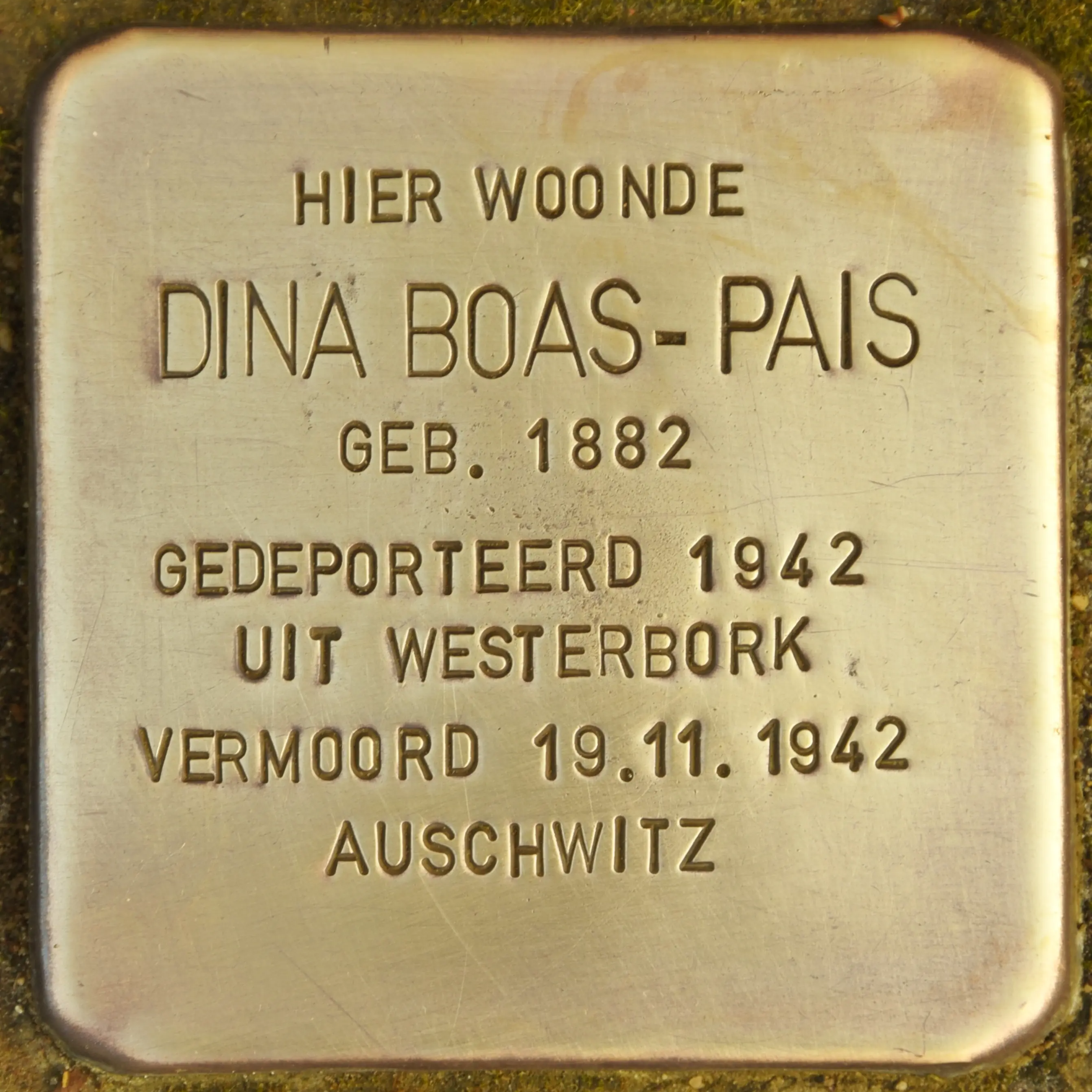 Struikelsteen voor Dina Boas-Pais
