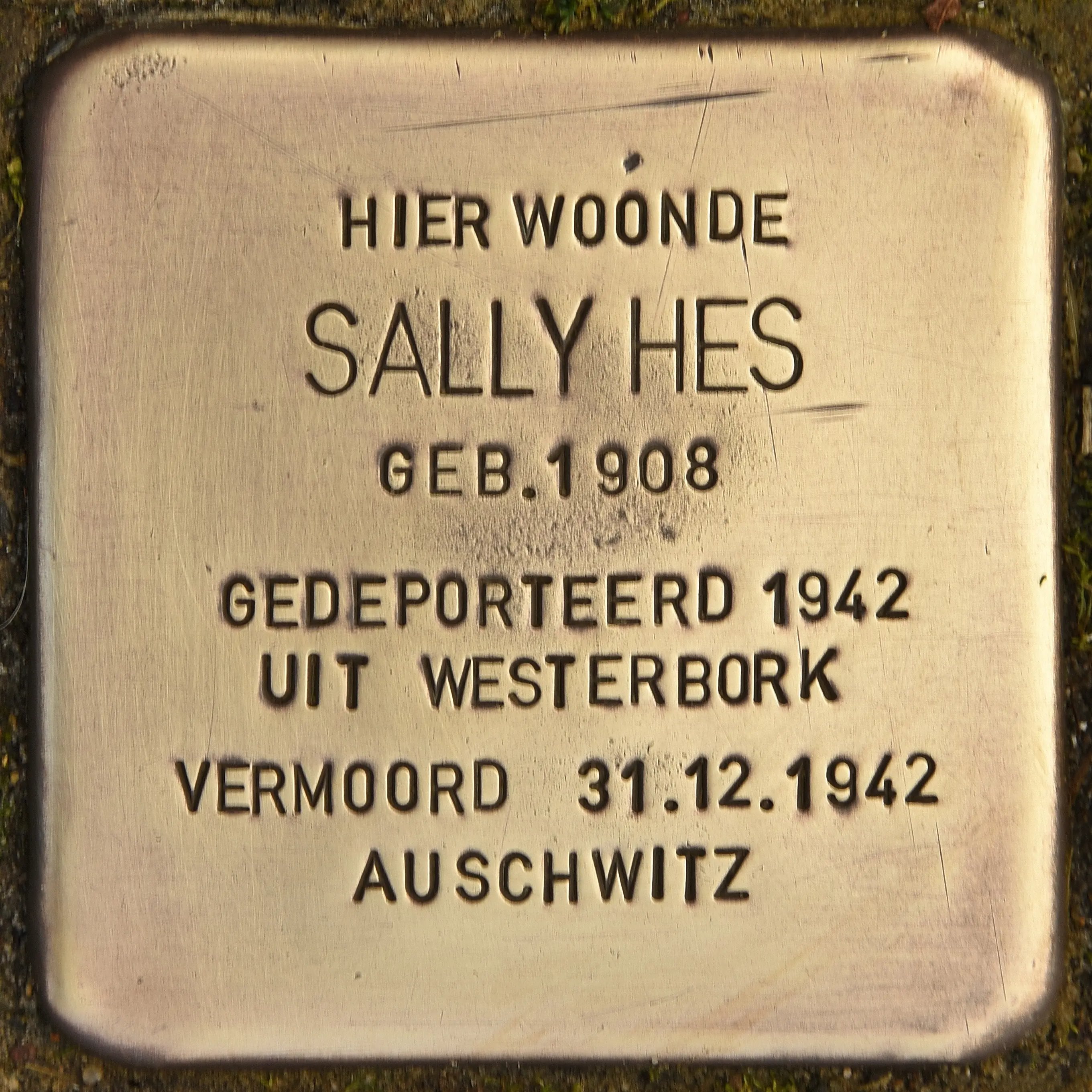 Struikelsteen voor Sally Hes