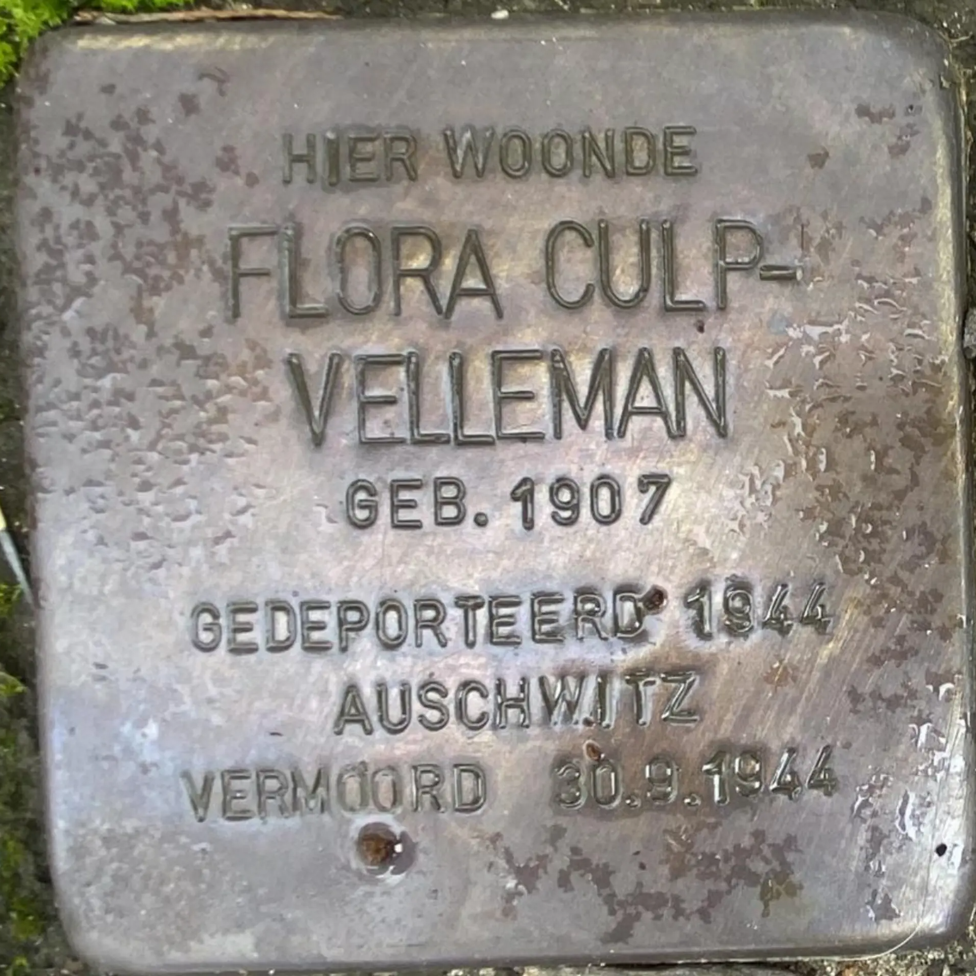 Struikelsteen voor Flora Culp-Velleman
