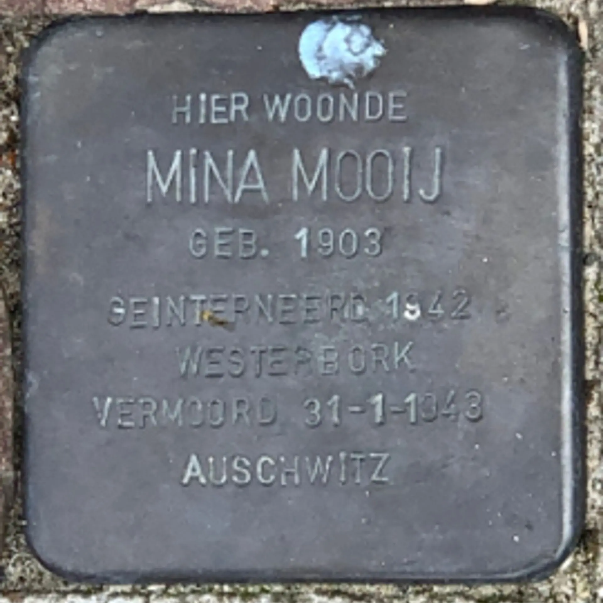 Struikelsteen voor Mina Mooij
