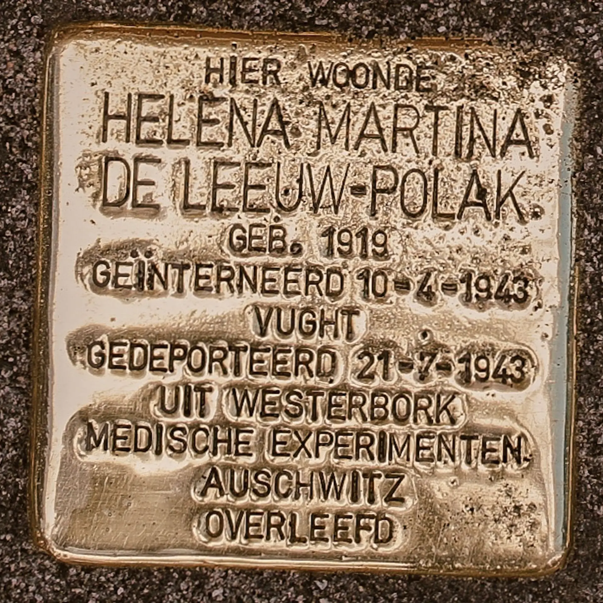 Struikelsteen voor Helena Martina de Leeuw-Polak