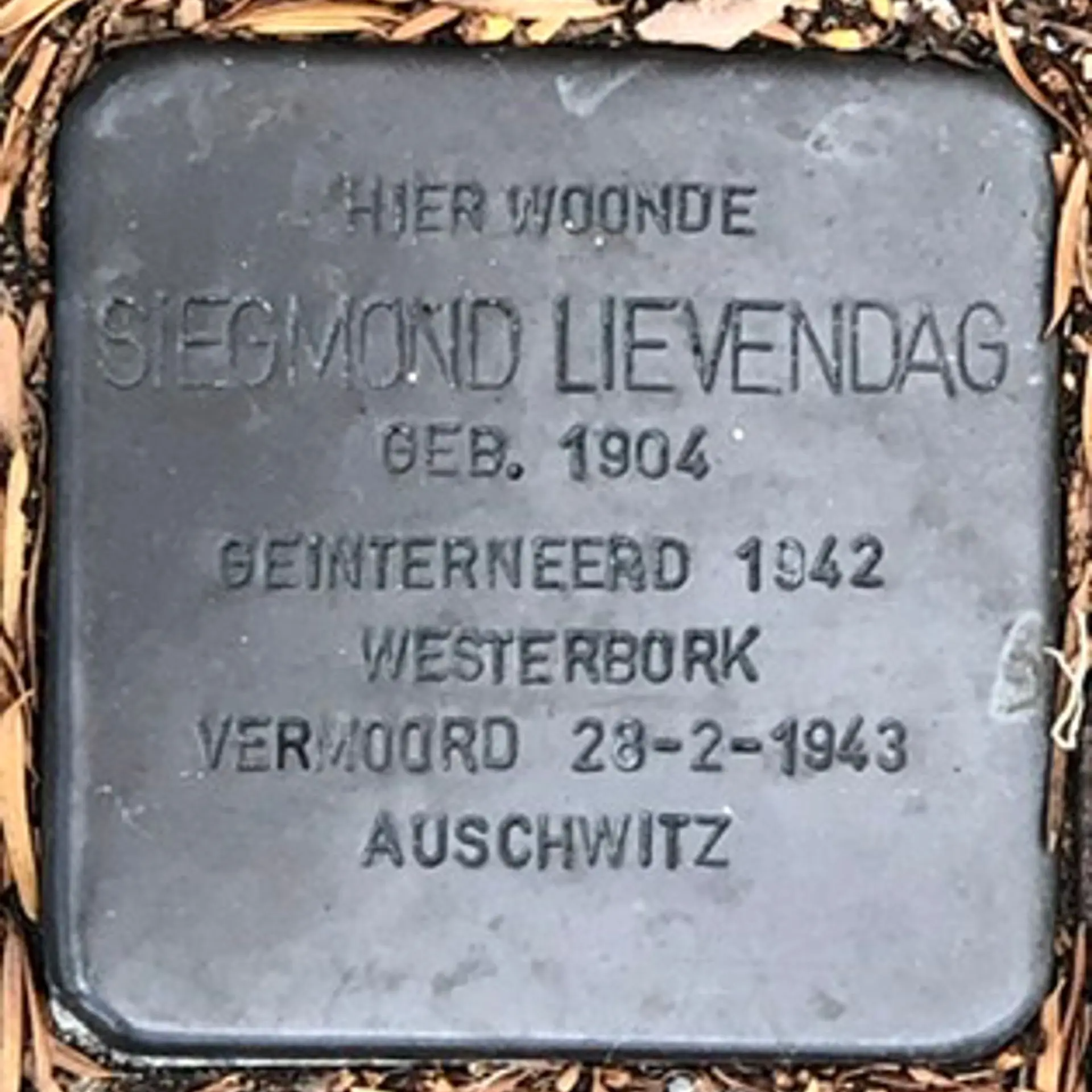 Struikelsteen voor Siegmond Lievendag