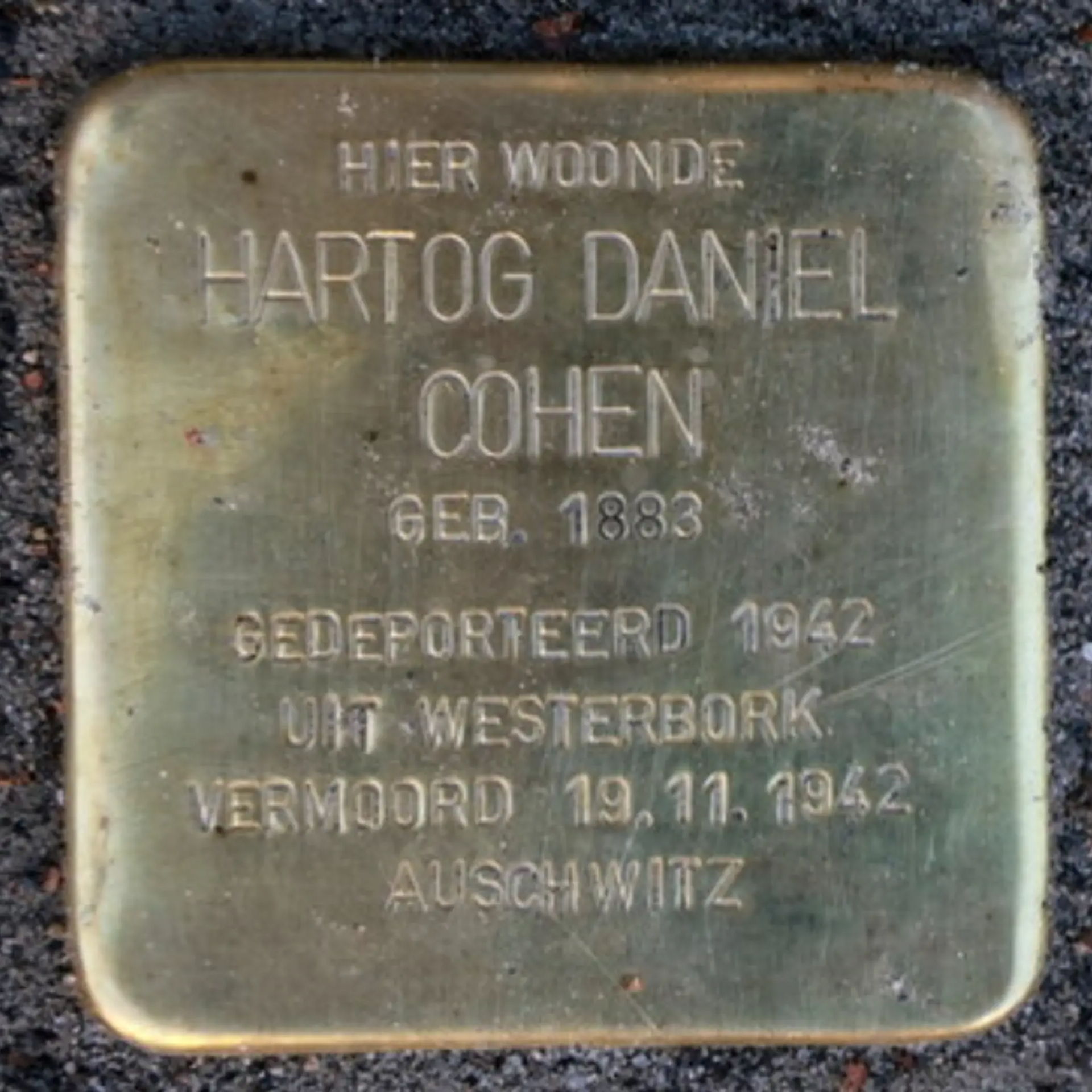 Struikelsteen voor Hartog Daniel Cohen