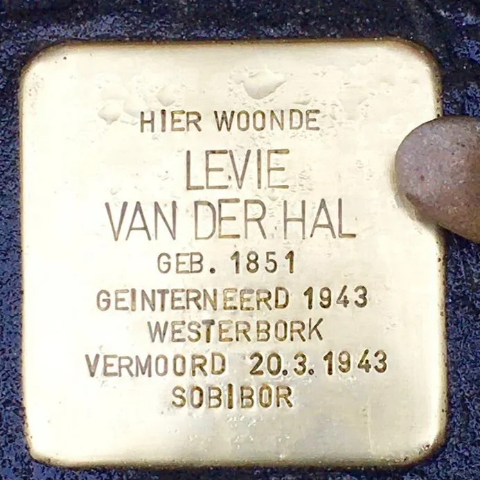 Struikelsteen voor Levie van der Hal