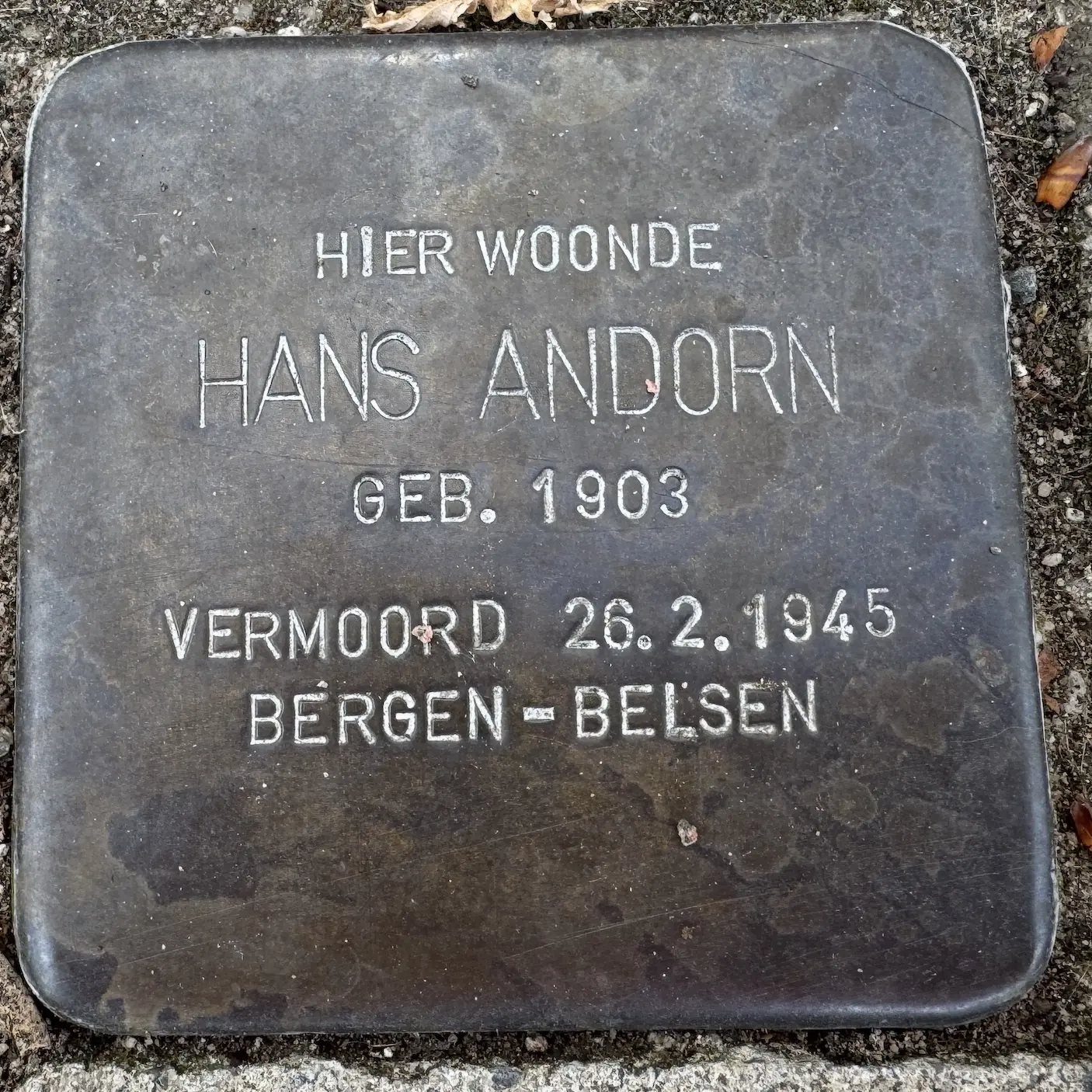 Struikelsteen voor Hans Andorn