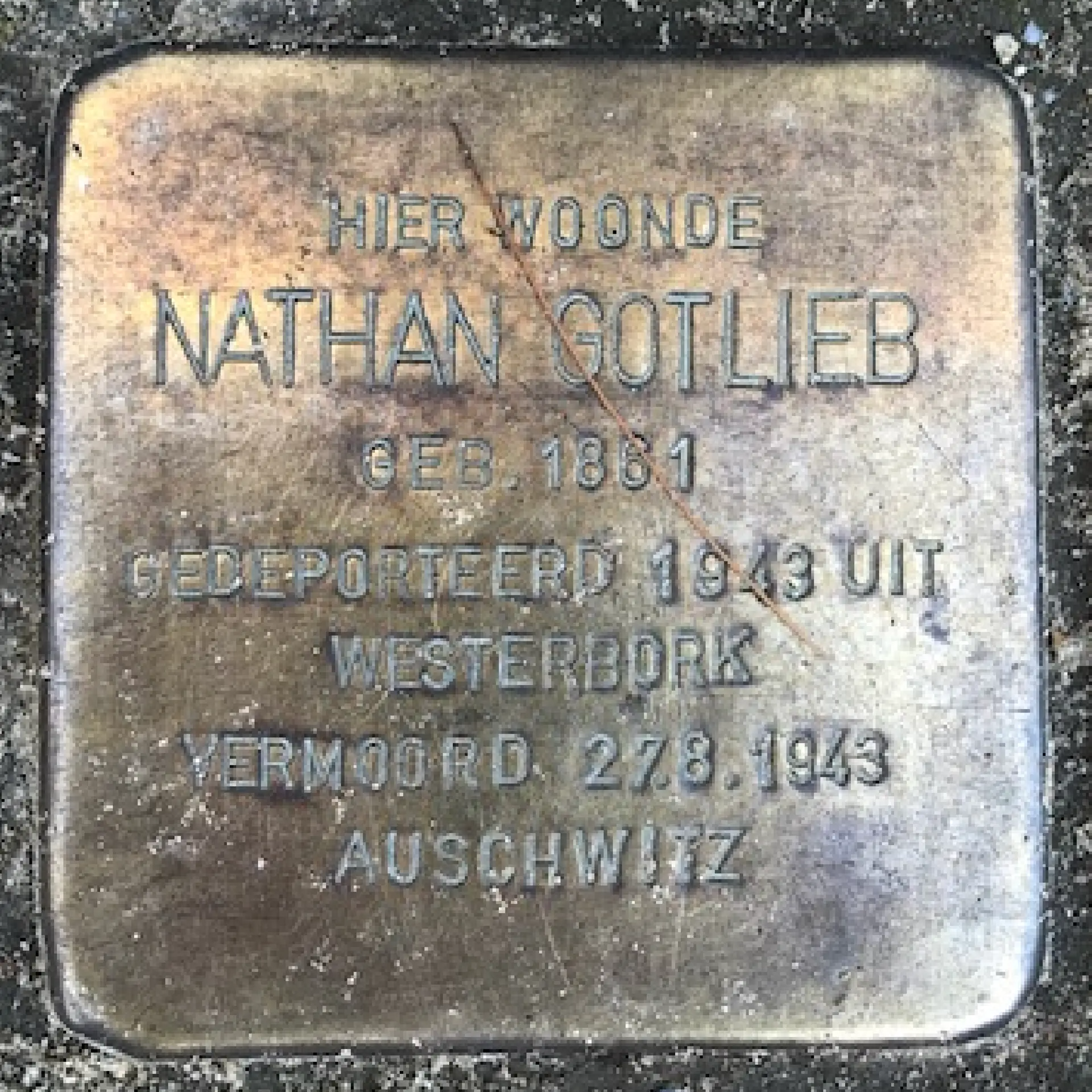 Struikelsteen voor Nathan Gotlieb