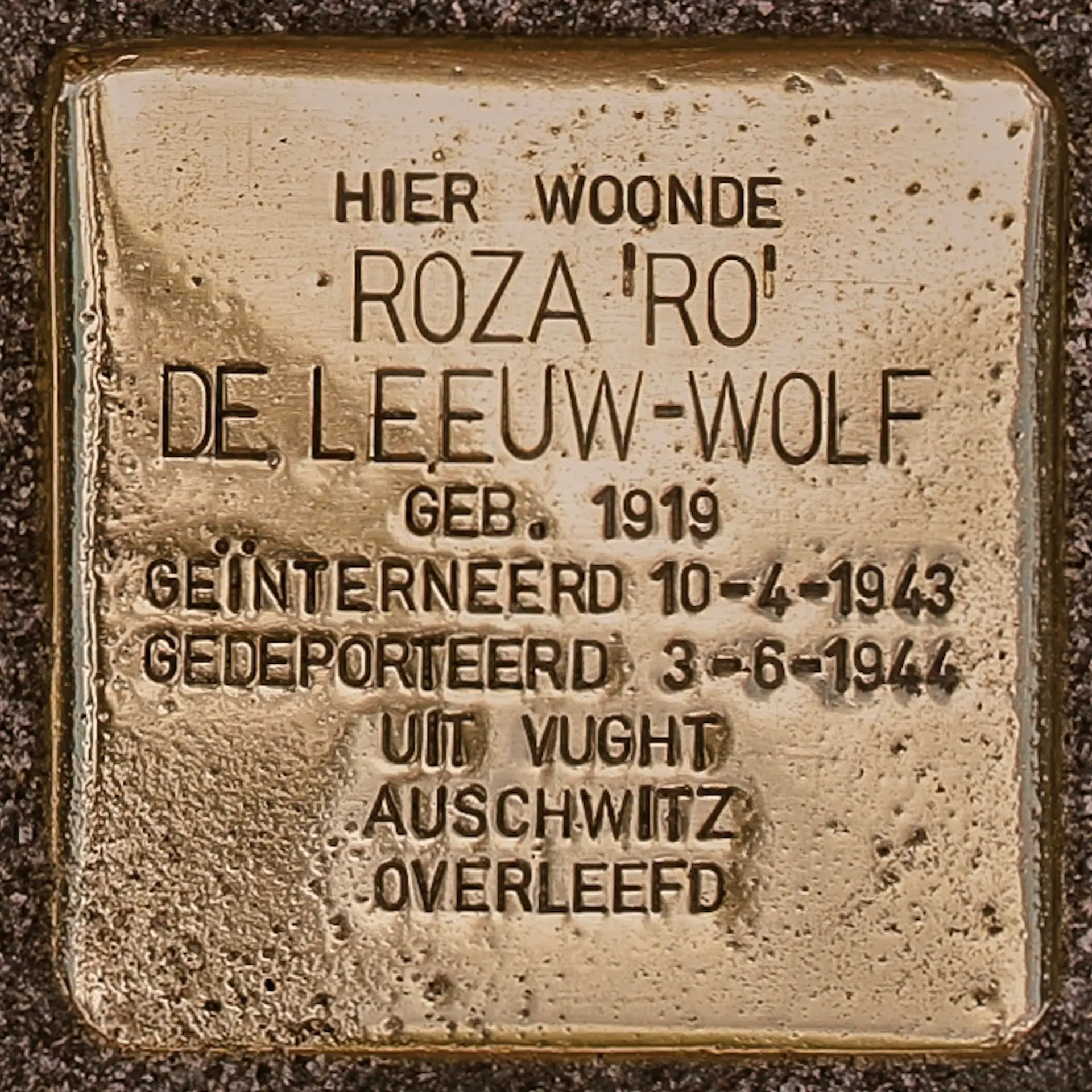 Struikelsteen voor Roza de Leeuw-Wolf
