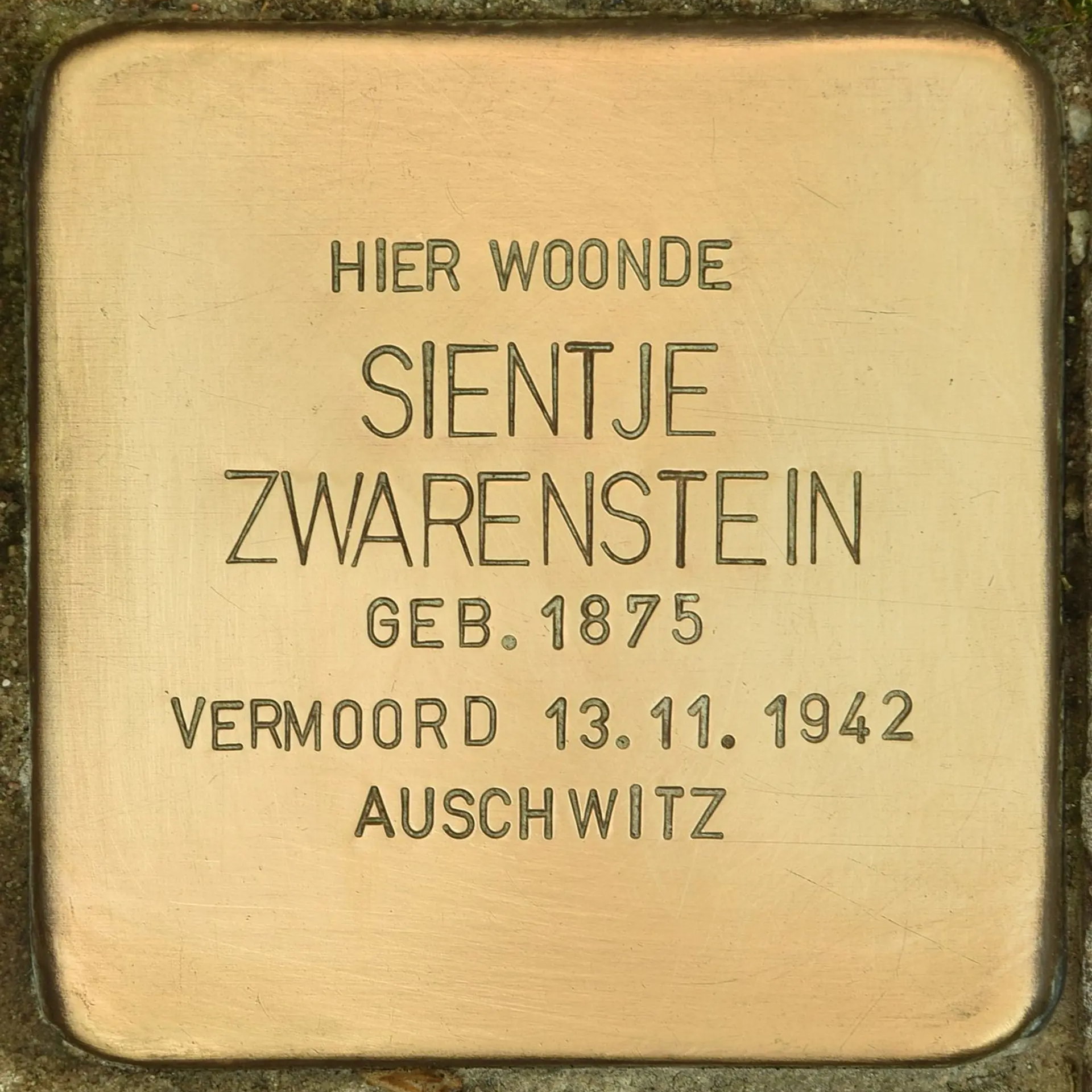 Struikelsteen voor Sientje Zwarenstein