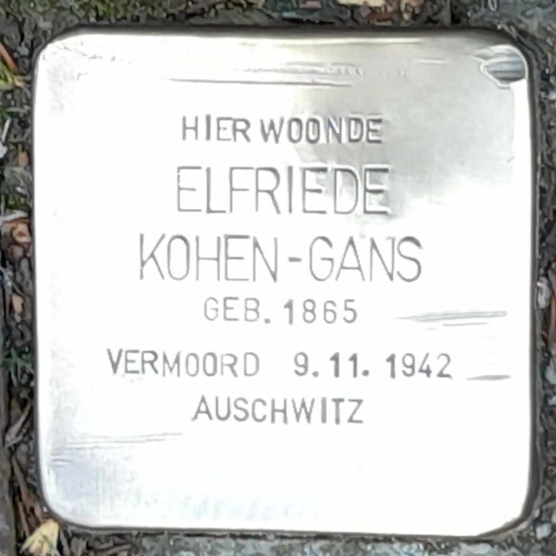 Struikelsteen voor Elfriede Kohen-Gans