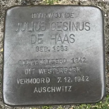 Struikelsteen voor Julius Gesinus de Haas