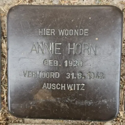 Struikelsteen voor Annie Horn