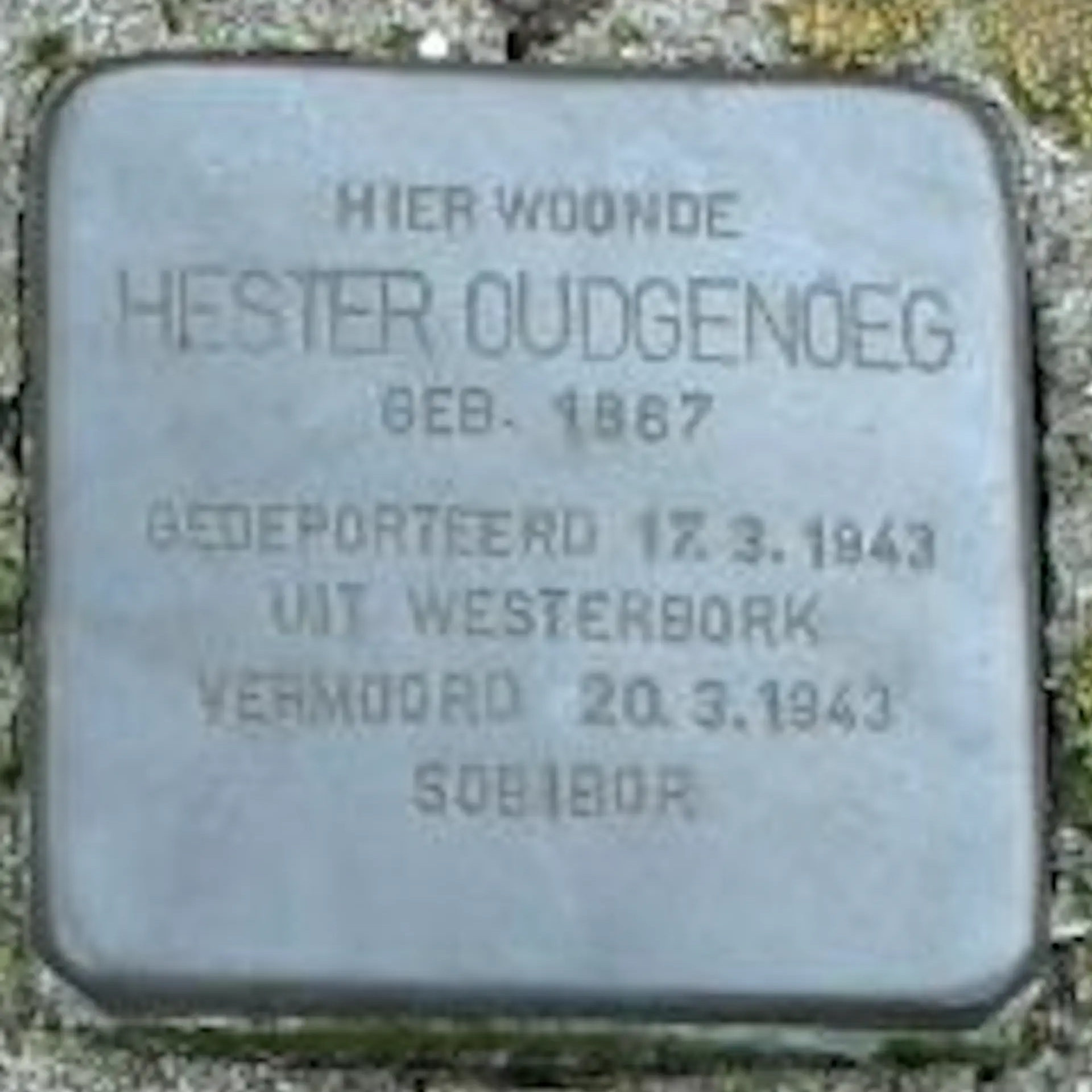 Struikelsteen voor Hester van Dam-Oudgenoeg