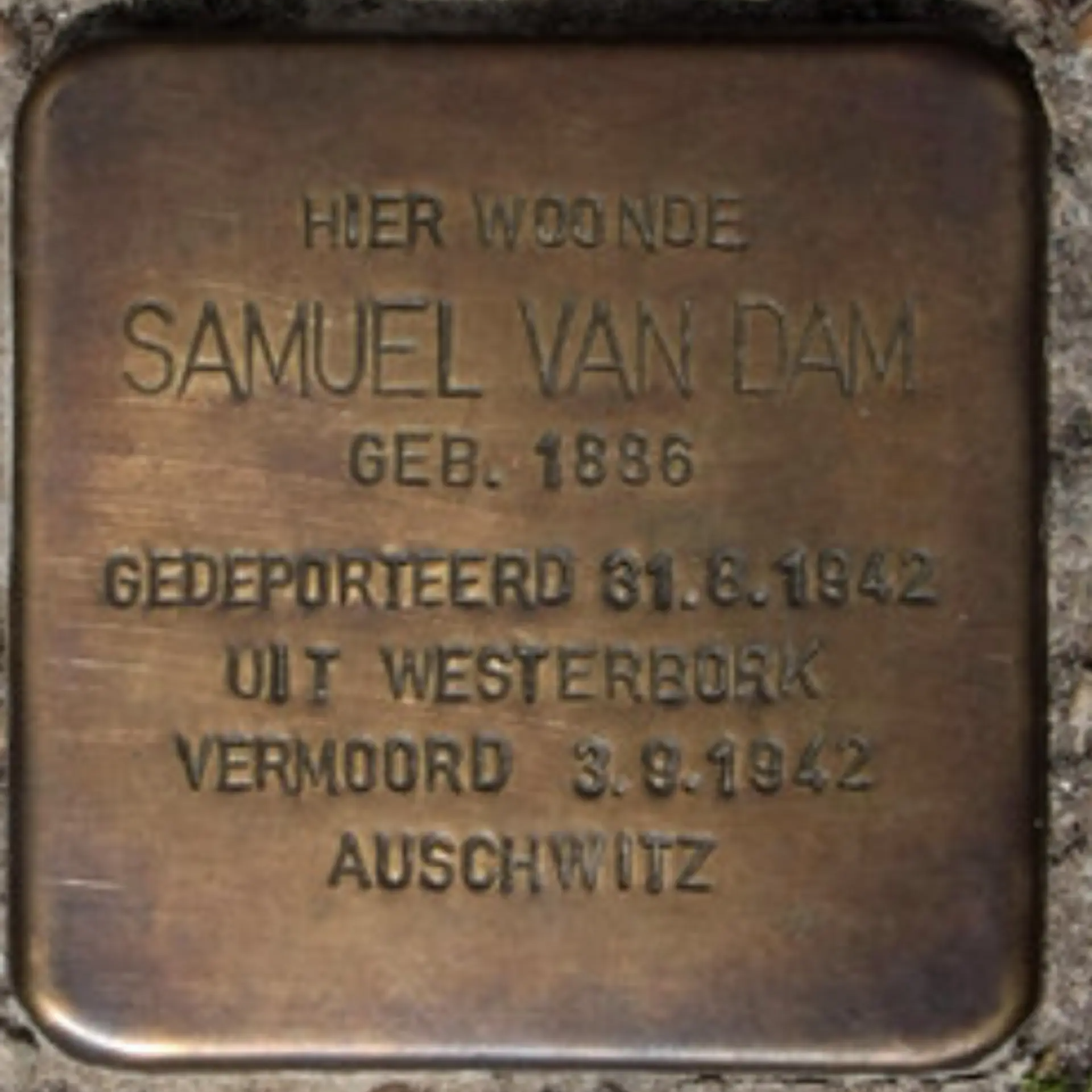 Struikelsteen voor Samuel van Dam