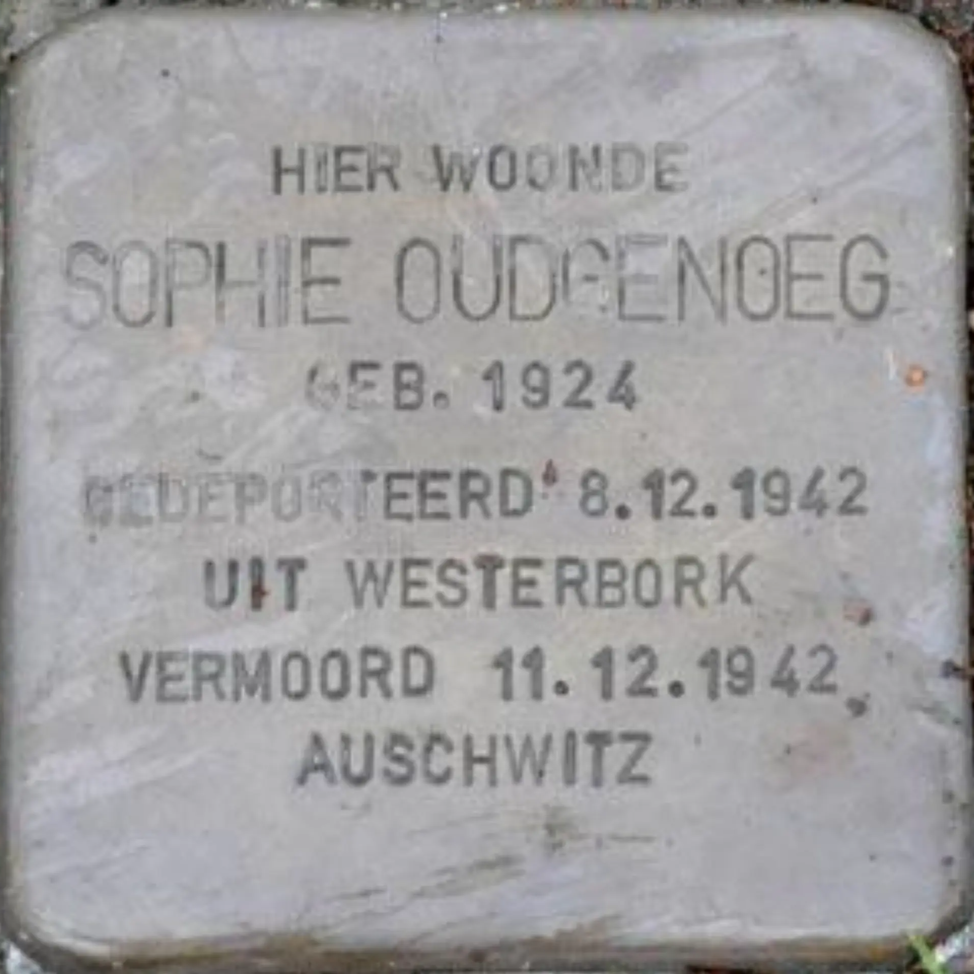 Struikelsteen voor Sophie Oudgenoeg