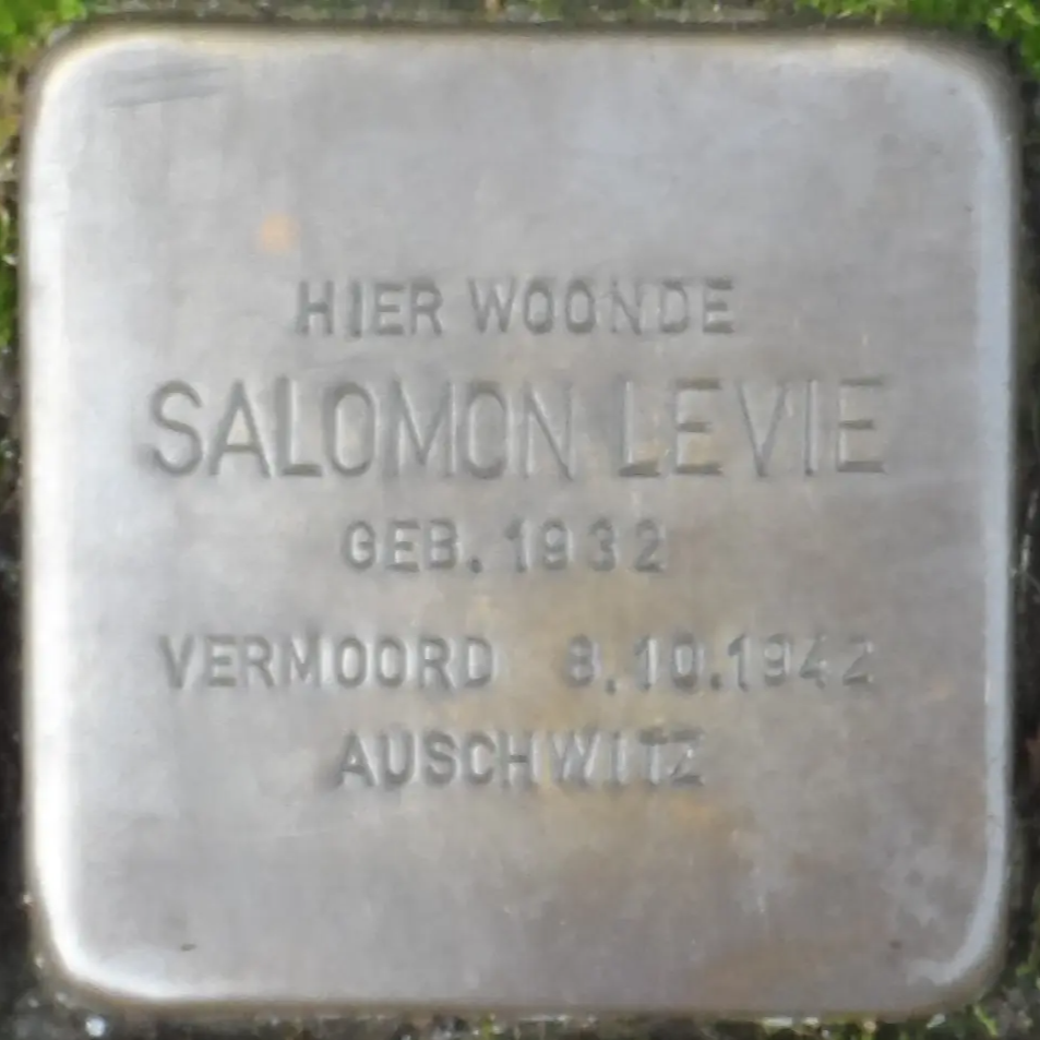 Struikelsteen voor Salomon Levie